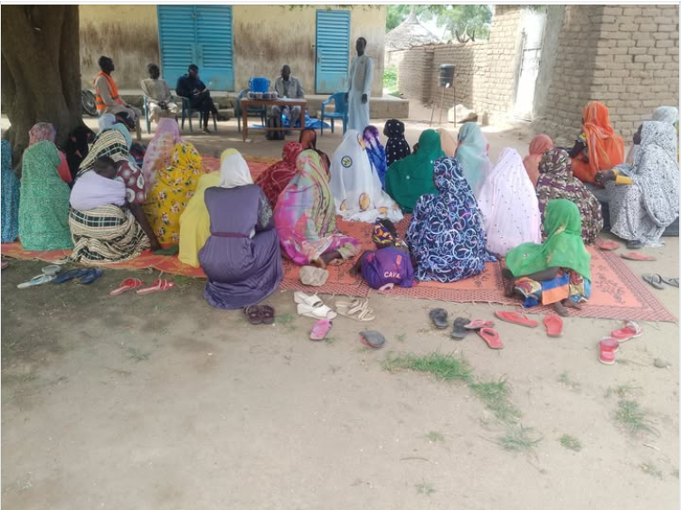 Coopération Ministère de la santé du Tchad et l'ONG ASRADD