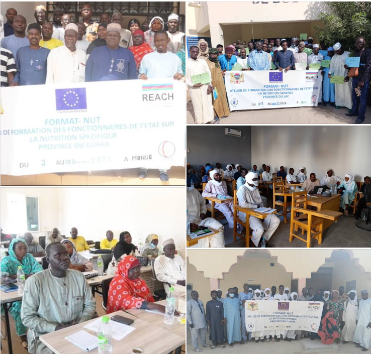 Séries de formation en  Nutrition spécifique et sensible